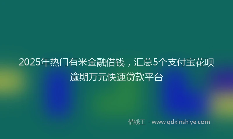 2025年热门有米金融借钱，汇总5个支付宝花呗逾期万元快速贷款平台