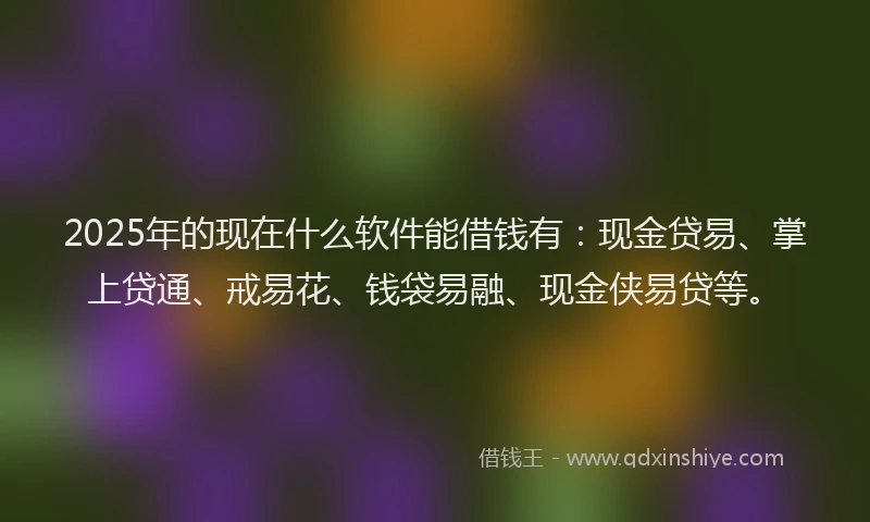 2025年的现在什么软件能借钱有：现金贷易、掌上贷通、戒易花、钱袋易融、现金侠易贷等。