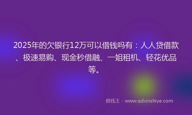 2025年的欠银行12万可以借钱吗有：人人贷借款、极速易购、现金秒借融、一姐租机、轻花优品等。