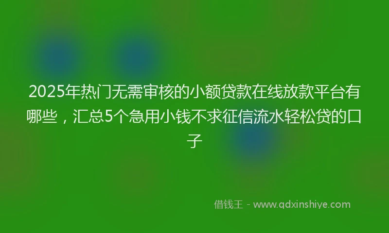 2025年热门无需审核的小额贷款在线放款平台有哪些，汇总5个急用小钱不求征信流水轻松贷的口子