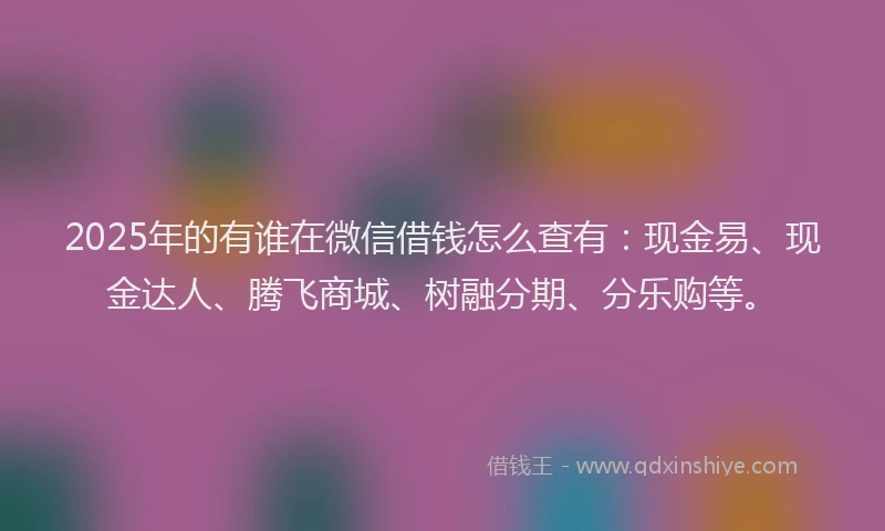 2025年的有谁在微信借钱怎么查有：现金易、现金达人、腾飞商城、树融分期、分乐购等。