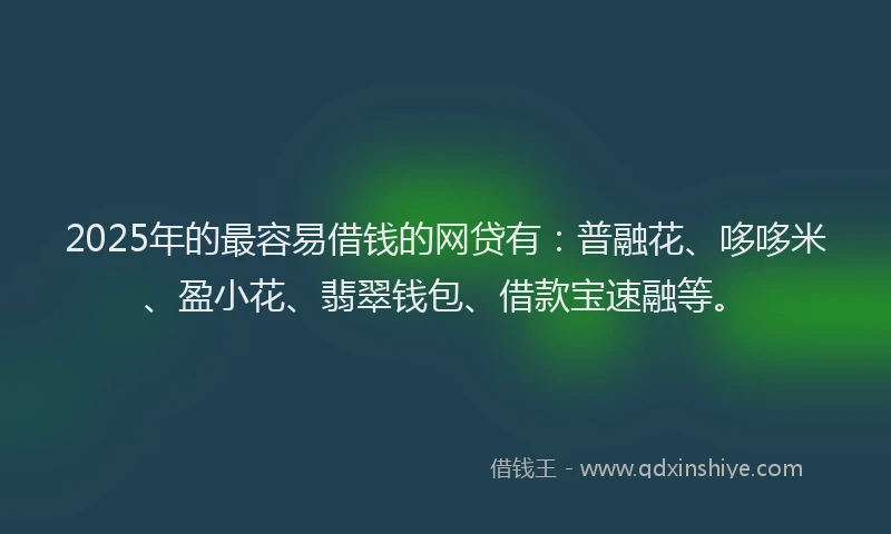 2025年的最容易借钱的网贷有：普融花、哆哆米、盈小花、翡翠钱包、借款宝速融等。