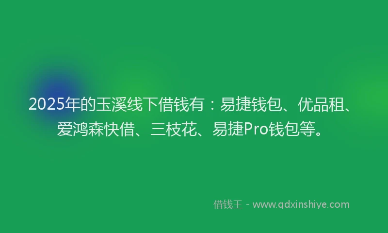 2025年的玉溪线下借钱有：易捷钱包、优品租、爱鸿森快借、三枝花、易捷Pro钱包等。