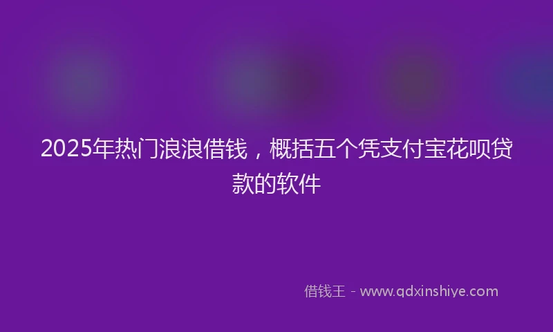 2025年热门浪浪借钱，概括五个凭支付宝花呗贷款的软件
