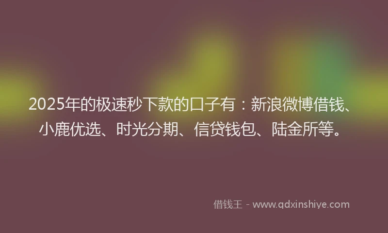 2025年的极速秒下款的口子有：新浪微博借钱、小鹿优选、时光分期、信贷钱包、陆金所等。