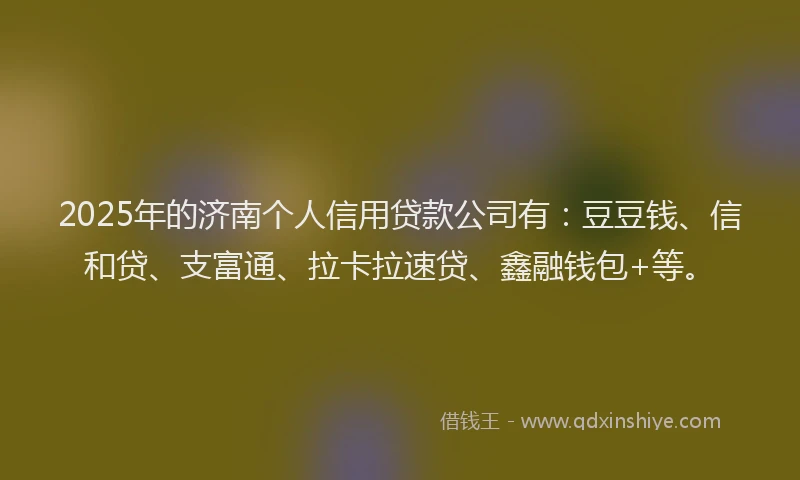 2025年的济南个人信用贷款公司有：豆豆钱、信和贷、支富通、拉卡拉速贷、鑫融钱包+等。