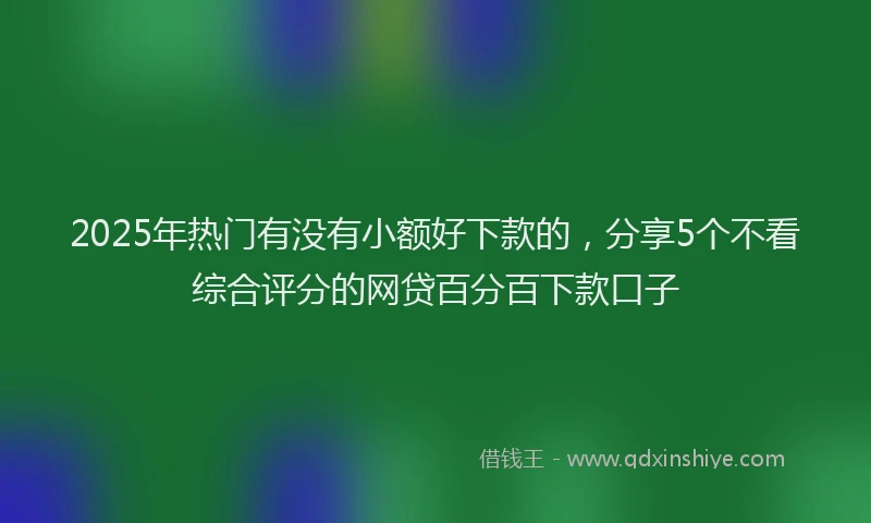 2025年热门有没有小额好下款的，分享5个不看综合评分的网贷百分百下款口子