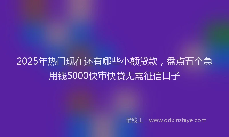 2025年热门现在还有哪些小额贷款，盘点五个急用钱5000快审快贷无需征信口子