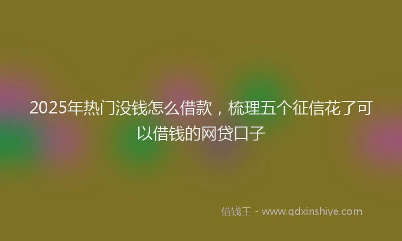 2025年热门没钱怎么借款，梳理五个征信花了可以借钱的网贷口子