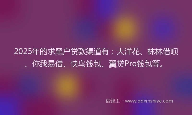 2025年的求黑户贷款渠道有：大洋花、林林借呗、你我易借、快鸟钱包、翼贷Pro钱包等。
