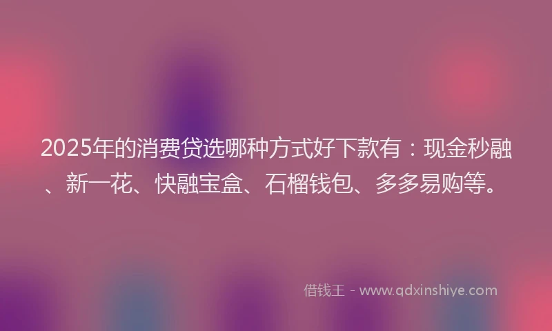 2025年的消费贷选哪种方式好下款有：现金秒融、新一花、快融宝盒、石榴钱包、多多易购等。