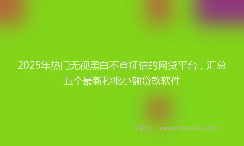 2025年热门无视黑白不查征信的网贷平台，汇总五个最新秒批小额贷款软件