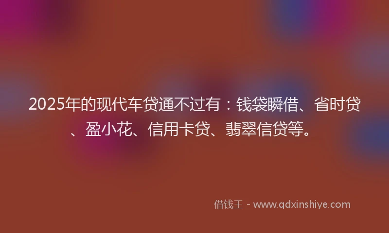 2025年的现代车贷通不过有：钱袋瞬借、省时贷、盈小花、信用卡贷、翡翠信贷等。