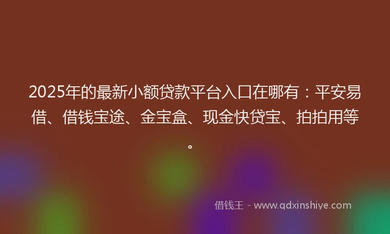 2025年的最新小额贷款平台入口在哪有：平安易借、借钱宝途、金宝盒、现金快贷宝、拍拍用等。