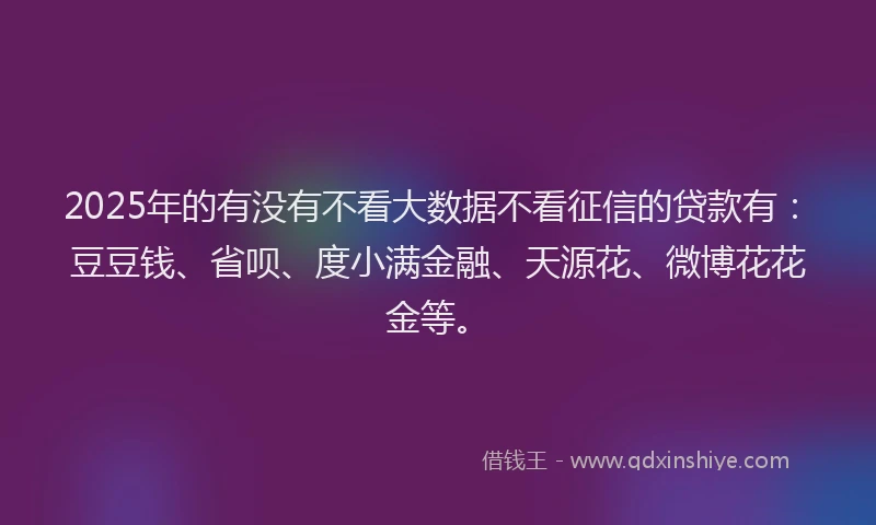 2025年的有没有不看大数据不看征信的贷款有：豆豆钱、省呗、度小满金融、天源花、微博花花金等。