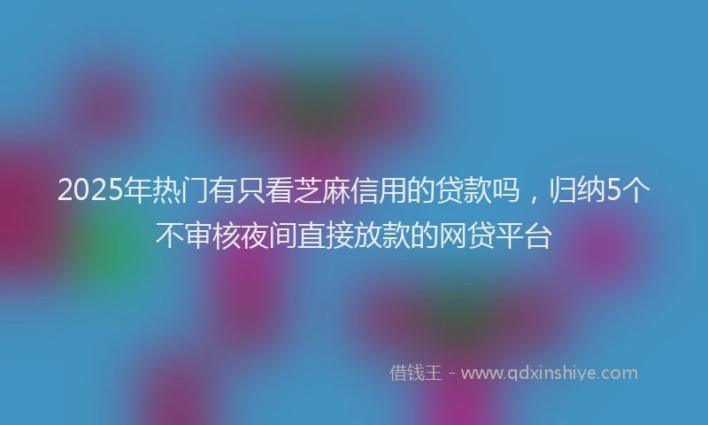 2025年热门有只看芝麻信用的贷款吗，归纳5个不审核夜间直接放款的网贷平台