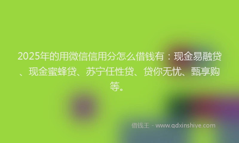 2025年的用微信信用分怎么借钱有：现金易融贷、现金蜜蜂贷、苏宁任性贷、贷你无忧、甄享购等。
