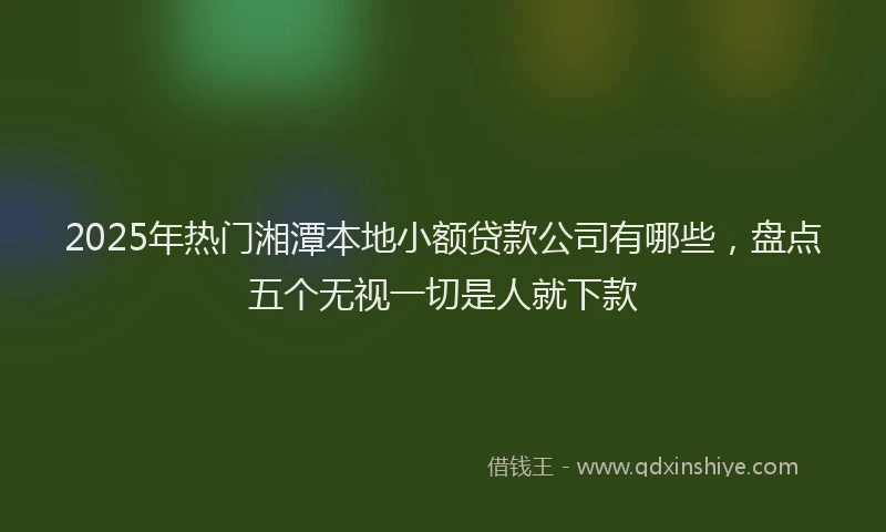 2025年热门湘潭本地小额贷款公司有哪些，盘点五个无视一切是人就下款