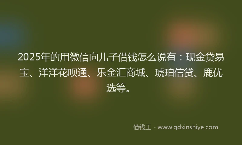 2025年的用微信向儿子借钱怎么说有：现金贷易宝、洋洋花呗通、乐金汇商城、琥珀信贷、鹿优选等。