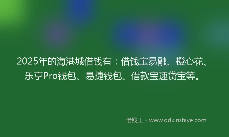 2025年的海港城借钱有：借钱宝易融、橙心花、乐享Pro钱包、易捷钱包、借款宝速贷宝等。