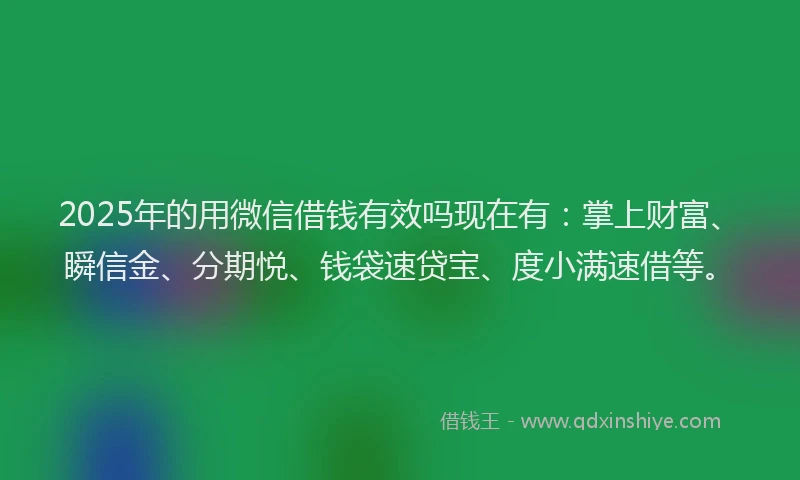 2025年的用微信借钱有效吗现在有：掌上财富、瞬信金、分期悦、钱袋速贷宝、度小满速借等。