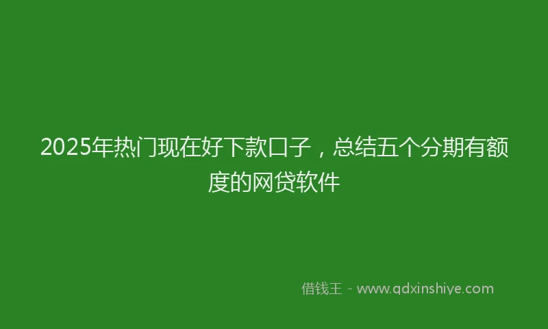 2025年热门现在好下款口子，总结五个分期有额度的网贷软件