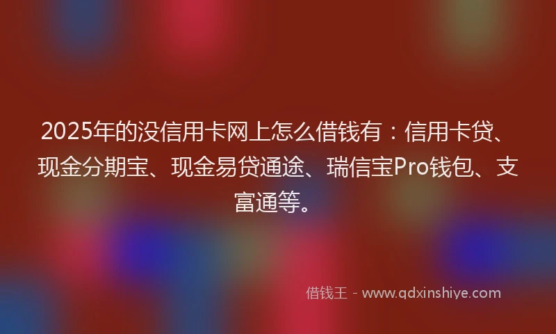 2025年的没信用卡网上怎么借钱有：信用卡贷、现金分期宝、现金易贷通途、瑞信宝Pro钱包、支富通等。