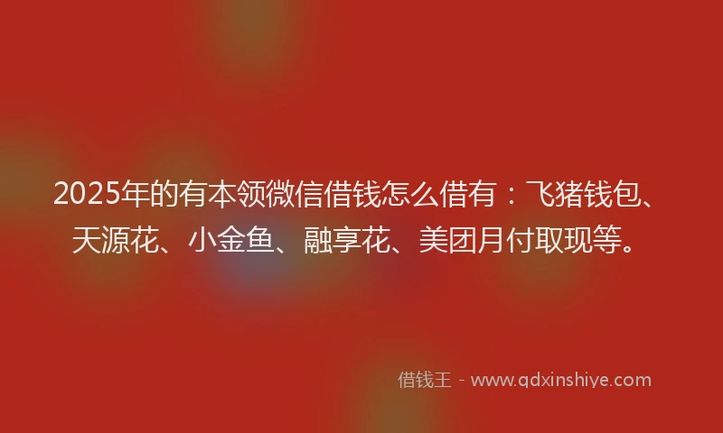 2025年的有本领微信借钱怎么借有：飞猪钱包、天源花、小金鱼、融享花、美团月付取现等。