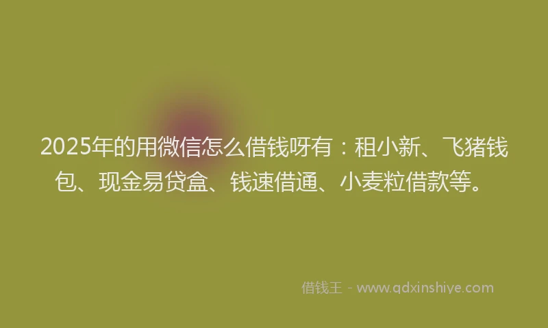 2025年的用微信怎么借钱呀有：租小新、飞猪钱包、现金易贷盒、钱速借通、小麦粒借款等。