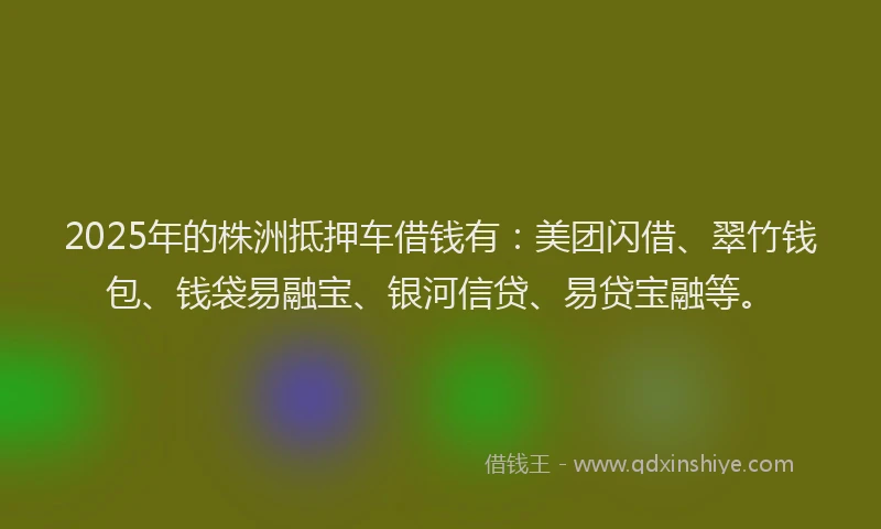 2025年的株洲抵押车借钱有：美团闪借、翠竹钱包、钱袋易融宝、银河信贷、易贷宝融等。