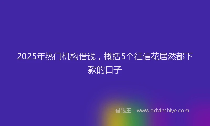 2025年热门机构借钱，概括5个征信花居然都下款的口子