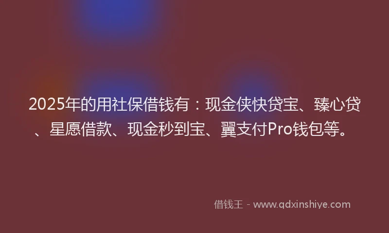 2025年的用社保借钱有：现金侠快贷宝、臻心贷、星愿借款、现金秒到宝、翼支付Pro钱包等。