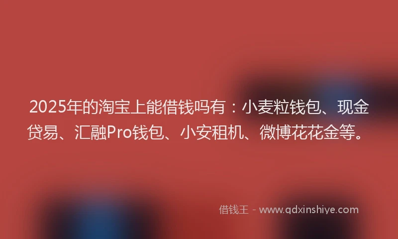 2025年的淘宝上能借钱吗有：小麦粒钱包、现金贷易、汇融Pro钱包、小安租机、微博花花金等。