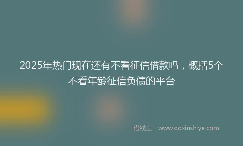2025年热门现在还有不看征信借款吗，概括5个不看年龄征信负债的平台