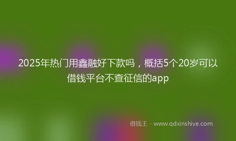 2025年热门用鑫融好下款吗，概括5个20岁可以借钱平台不查征信的app