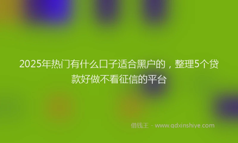 2025年热门有什么口子适合黑户的，整理5个贷款好做不看征信的平台