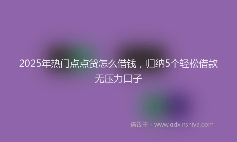 2025年热门点点贷怎么借钱，归纳5个轻松借款无压力口子