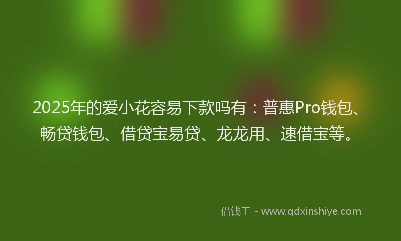 2025年的爱小花容易下款吗有：普惠Pro钱包、畅贷钱包、借贷宝易贷、龙龙用、速借宝等。