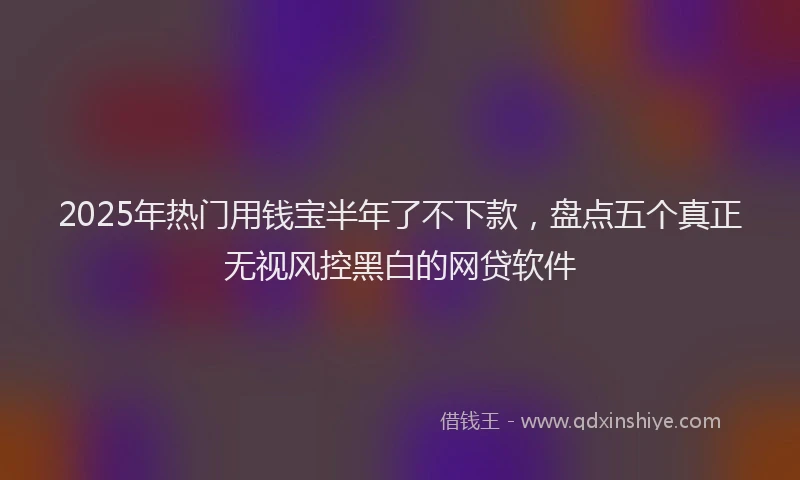 2025年热门用钱宝半年了不下款，盘点五个真正无视风控黑白的网贷软件