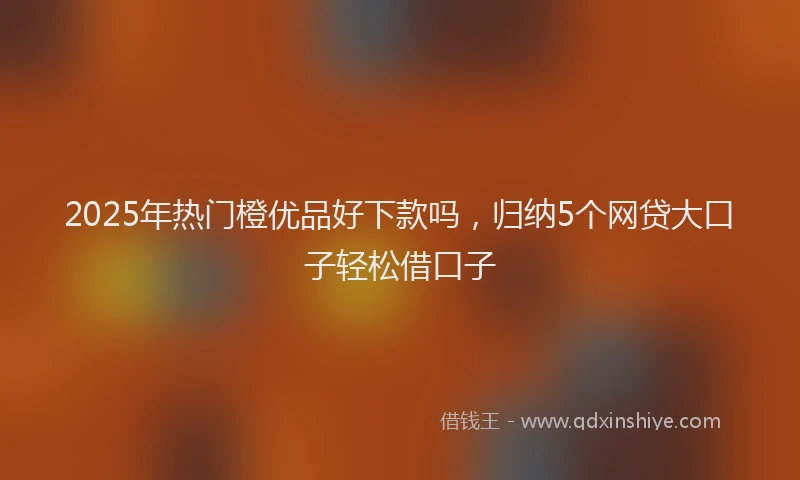 2025年热门橙优品好下款吗，归纳5个网贷大口子轻松借口子