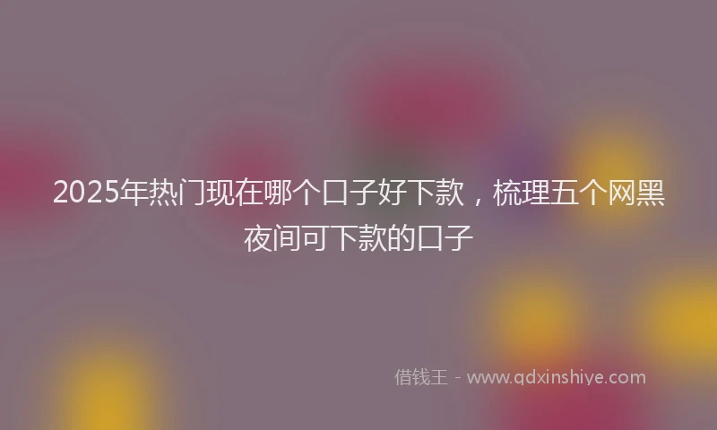 2025年热门现在哪个口子好下款，梳理五个网黑夜间可下款的口子