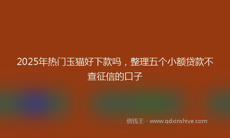 2025年热门玉猫好下款吗，整理五个小额贷款不查征信的口子