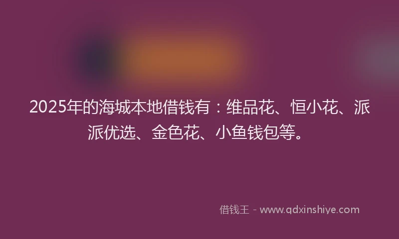 2025年的海城本地借钱有：维品花、恒小花、派派优选、金色花、小鱼钱包等。