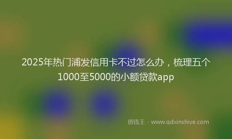 2025年热门浦发信用卡不过怎么办，梳理五个1000至5000的小额贷款app