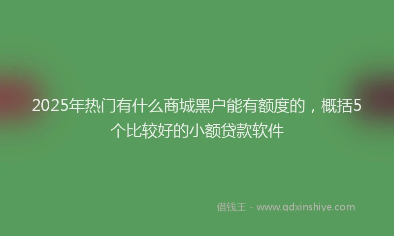2025年热门有什么商城黑户能有额度的，概括5个比较好的小额贷款软件