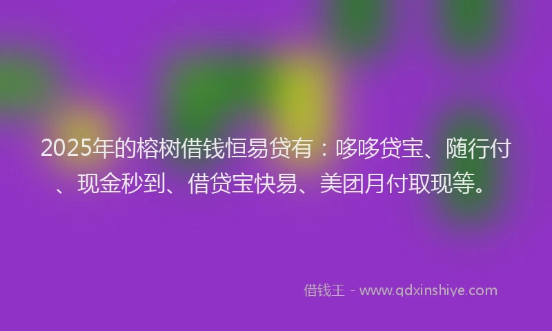 2025年的榕树借钱恒易贷有：哆哆贷宝、随行付、现金秒到、借贷宝快易、美团月付取现等。