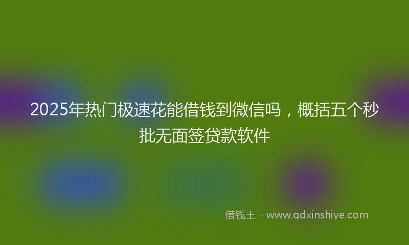 2025年热门极速花能借钱到微信吗，概括五个秒批无面签贷款软件
