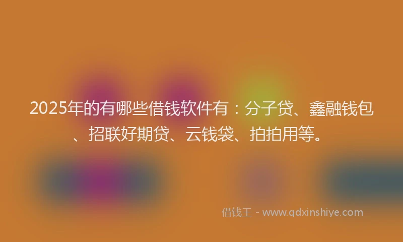 2025年的有哪些借钱软件有：分子贷、鑫融钱包、招联好期贷、云钱袋、拍拍用等。