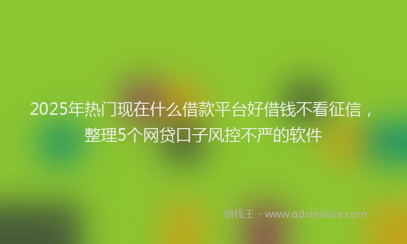 2025年热门现在什么借款平台好借钱不看征信，整理5个网贷口子风控不严的软件
