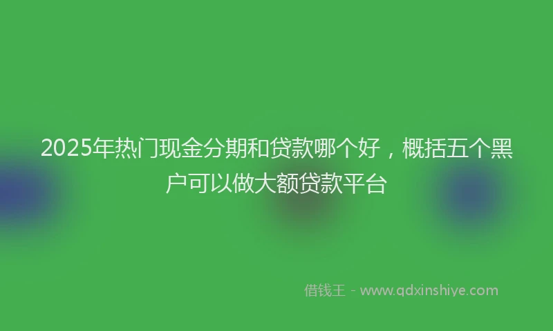 2025年热门现金分期和贷款哪个好，概括五个黑户可以做大额贷款平台